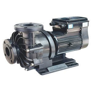 насос з прямим з'єднанням і постійним магнітом